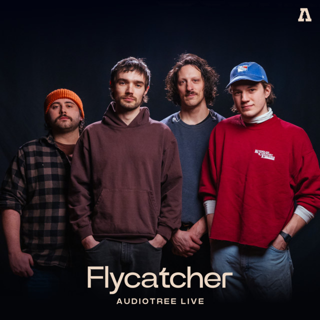 Flycatcher on Audiotree Live artwork