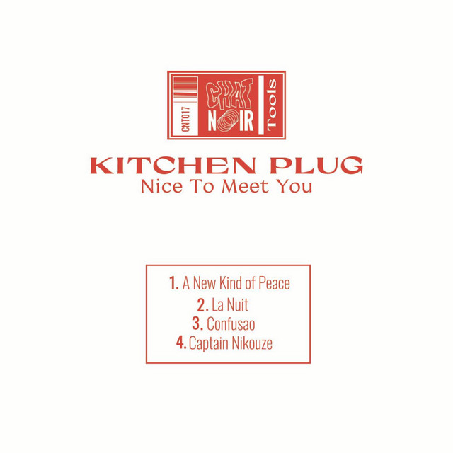 Nice To Meet You cover art