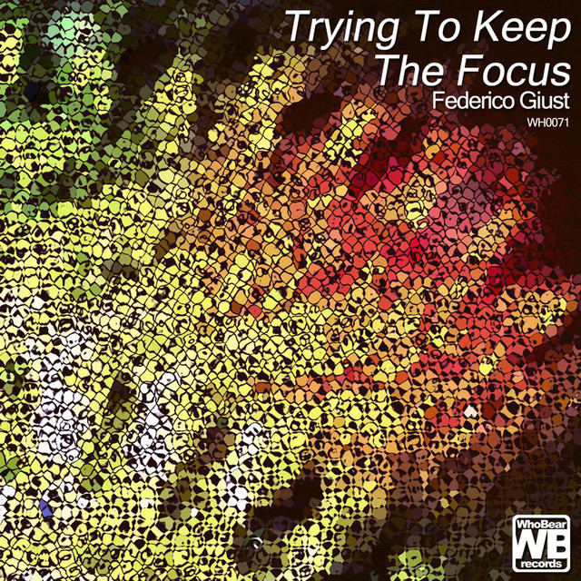 Trying To Keep The Focus cover art