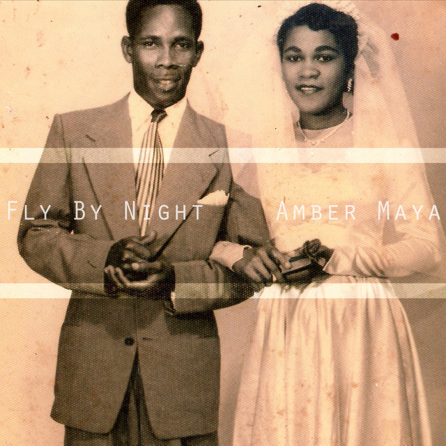 Fly by Night cover