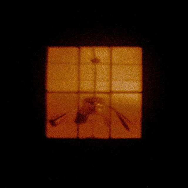 Brittle Blades cover art
