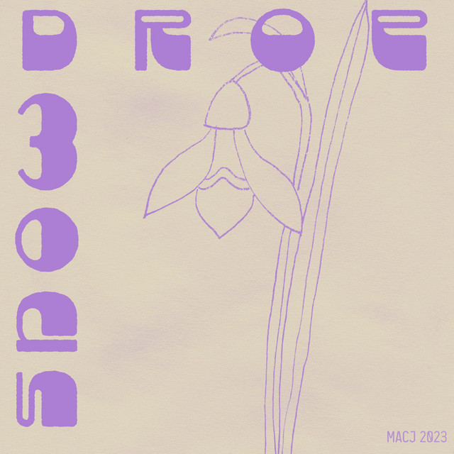 snowdrop cover art