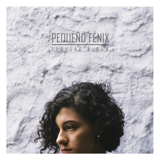 Pequeño Álbum cover art