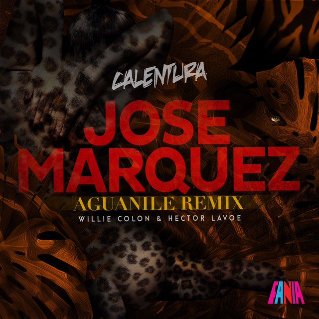 Aguanile (Jose Marquez Remix) [feat. Hector Lavoe] - Radio Edit