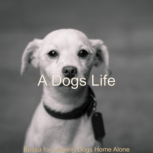 Bossa for Leaving Dogs Home Alone cover art
