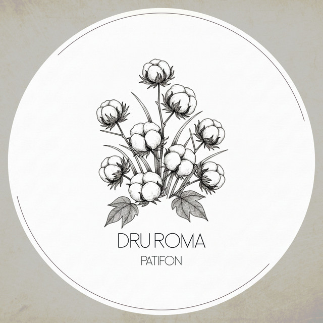 Обкладинка Dru Roma — Patifon