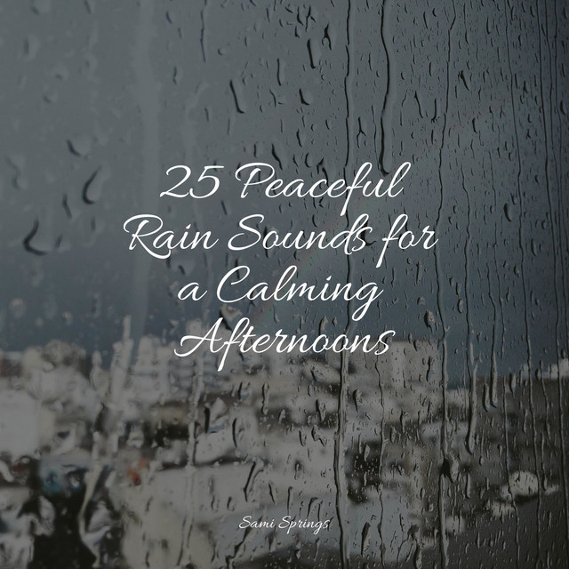 25 Peaceful Rain Sounds for a Calming Afternoons - Album by Sounds of ...