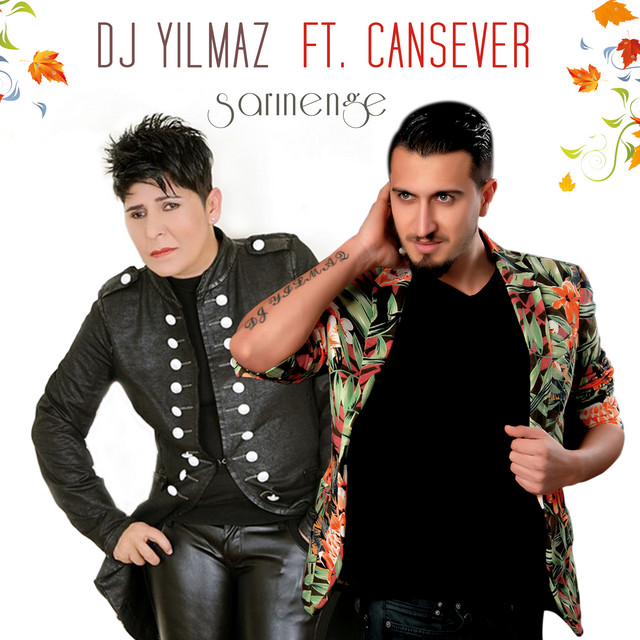 Sarınenge cover art