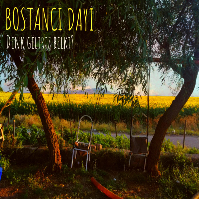 Denk Geliriz Belki ? cover art