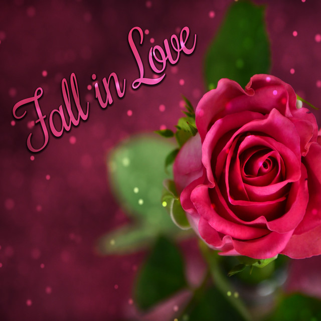 Fall In Love - Story of Life, Gold Rings, Beloved, Sweetheart, Common Time Lovers, Candleslight and Wine, White Roses, First Dance, Nice Music cover art