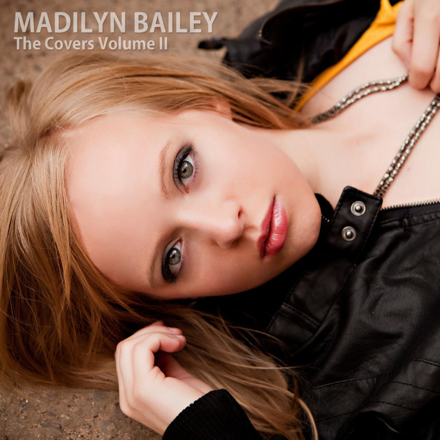 The Covers, Vol. 2 cover