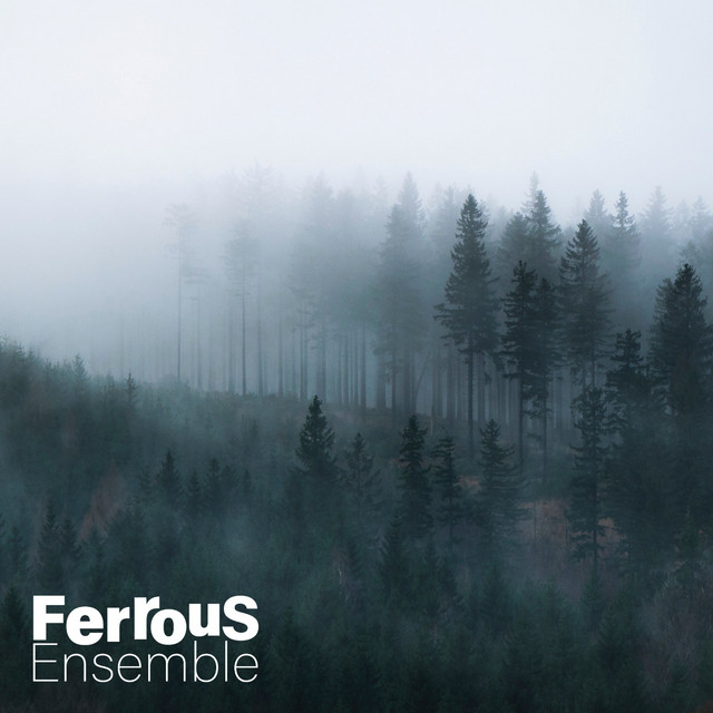Seeking Firm Ground cover art