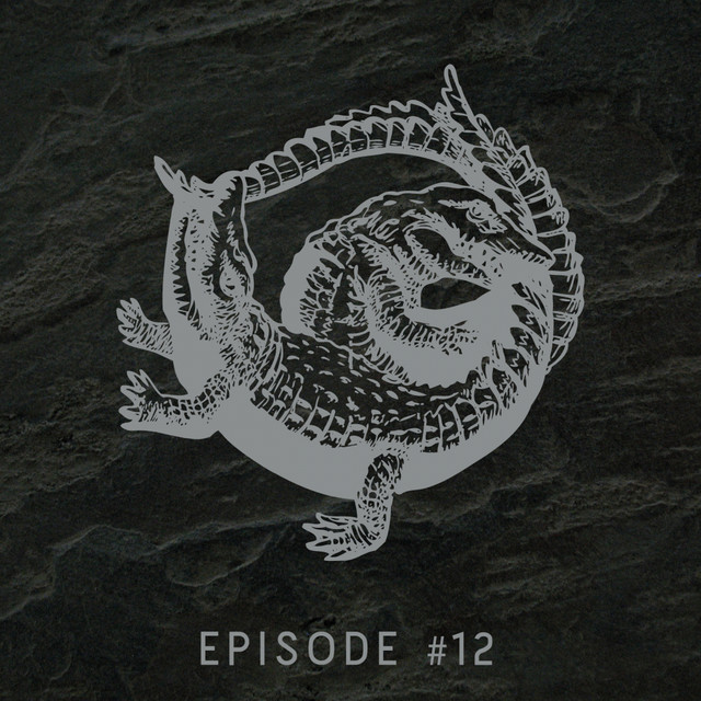 Episode #12 cover art