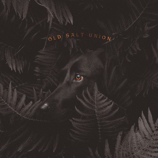 Where The Dogs Don't Bite cover