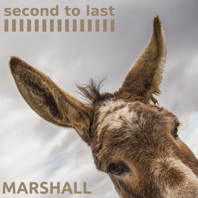 Marshall cover