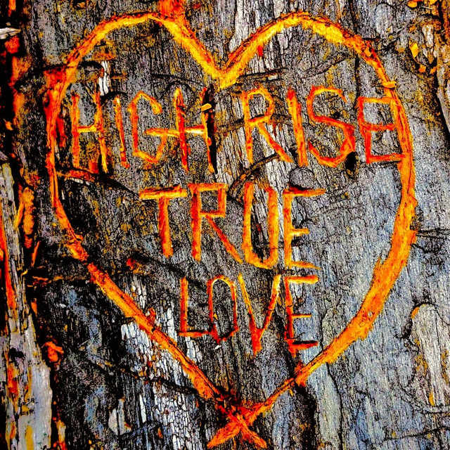 True Love cover art