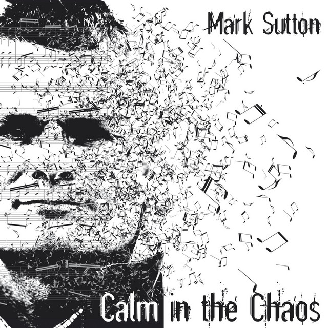 Calm in the Chaos cover