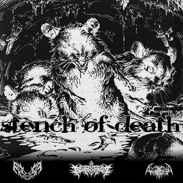 STENCH OF DEATH - Single by BVPHXMET | Spotify