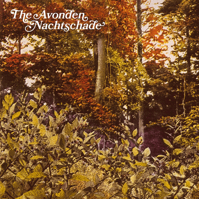 Nachtschade cover art
