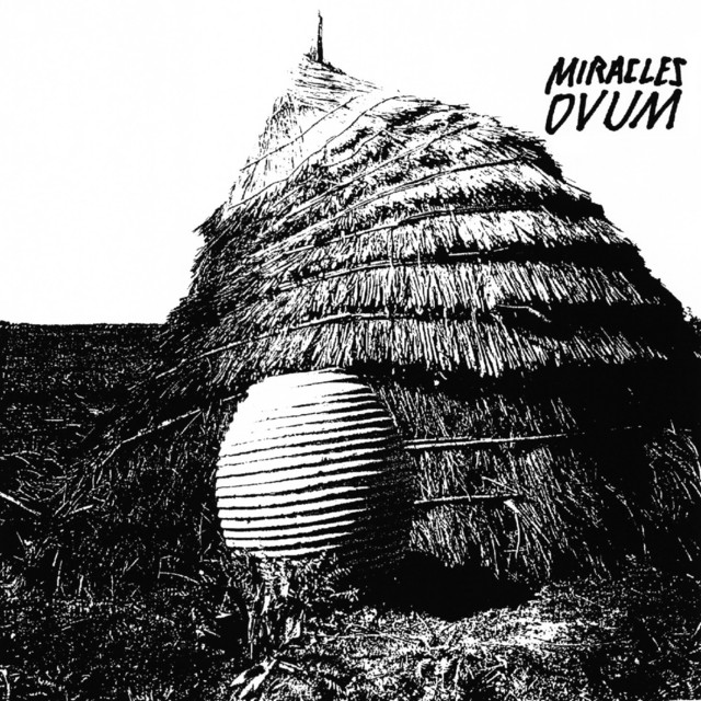 Ovum cover art