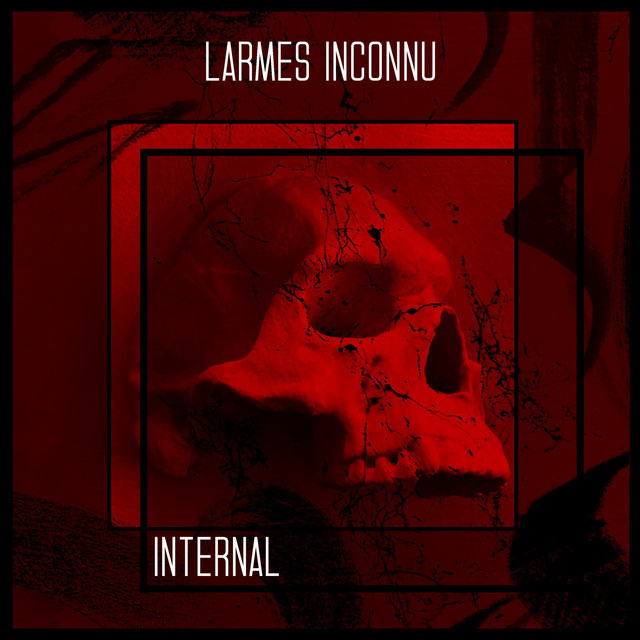 Обкладинка: Internal — Larmes Inconnu