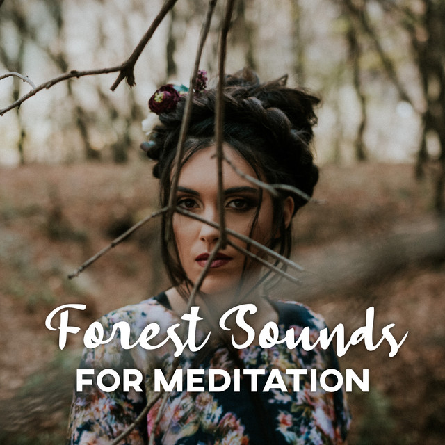 Forest Sounds for Meditation: Music for Relaxing Deep Meditation with ...