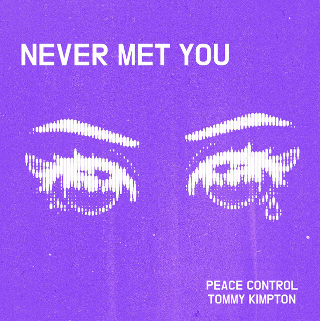 Never Met You