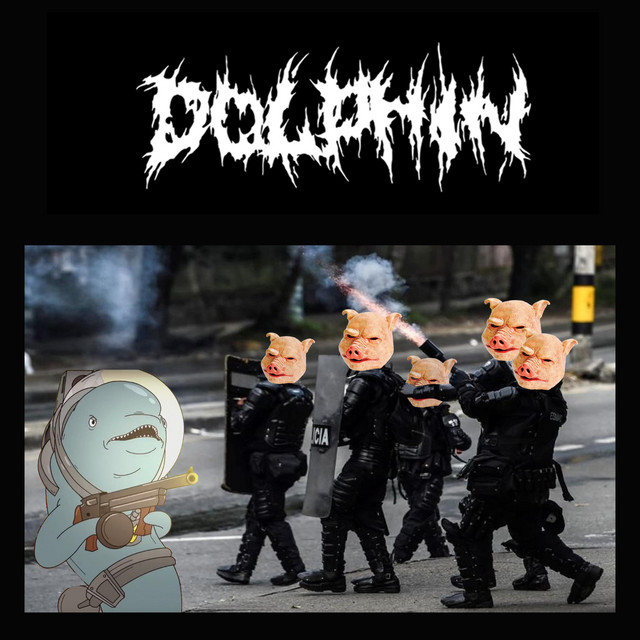 Dolphins Against the System cover art