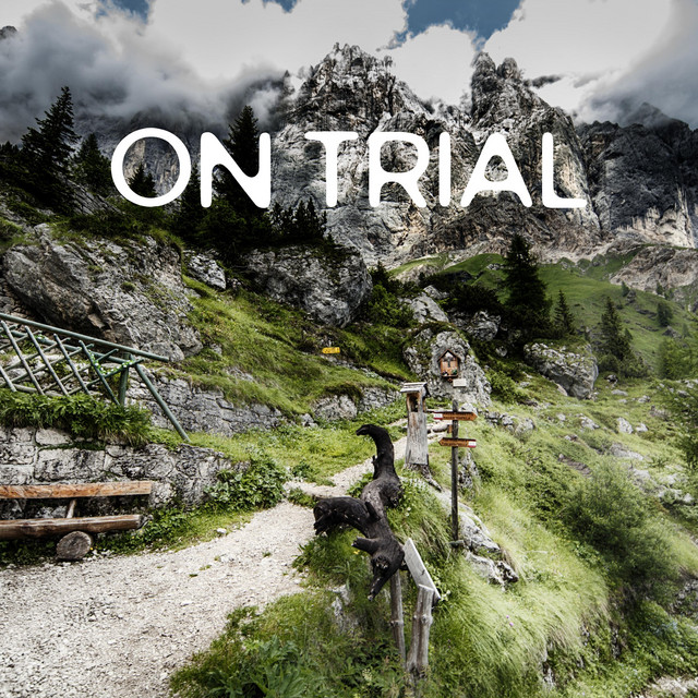 On Trial cover art