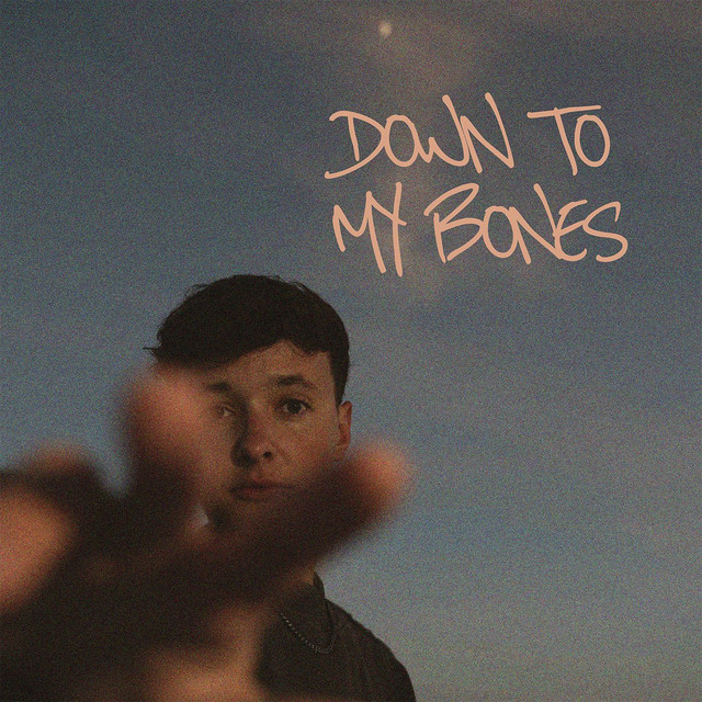 Down To My Bones cover art