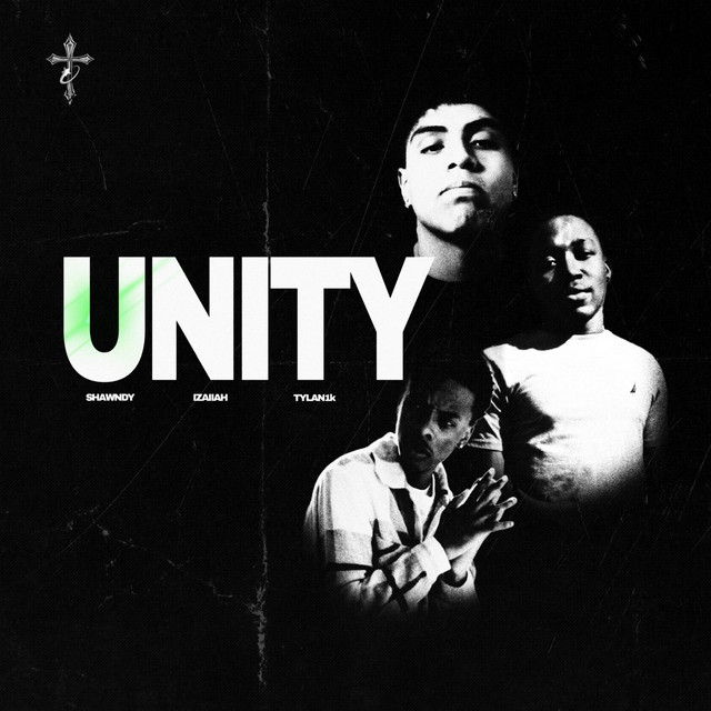 Unity cover art
