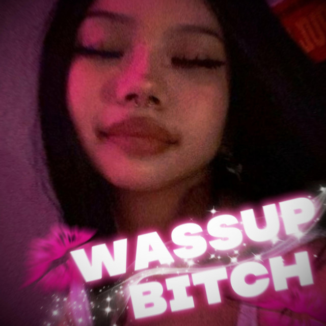 Wassup Bitch cover art