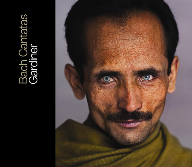Bach: Cantatas, Vol. 28
