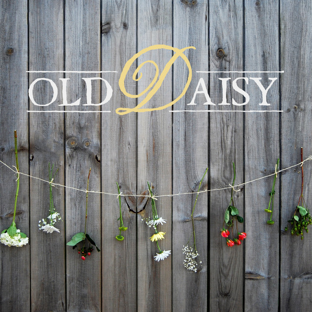 Old Daisy cover art