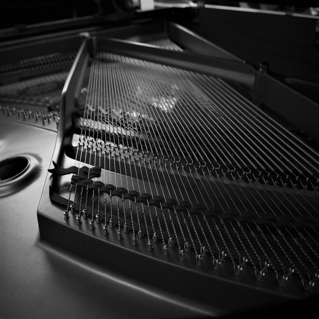 pianoid Photo