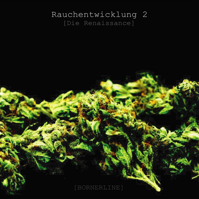 Rauchentwicklung 2 cover art