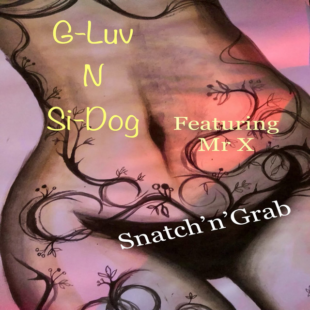 Snatch 'n' Grab cover