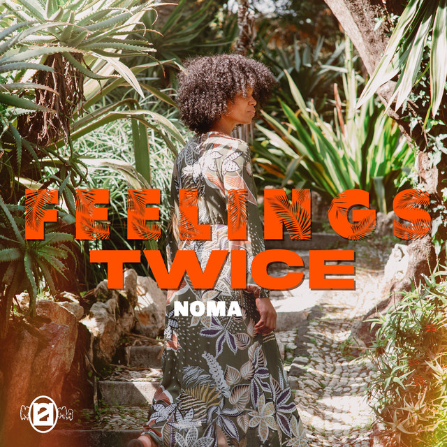 Feelings Twice