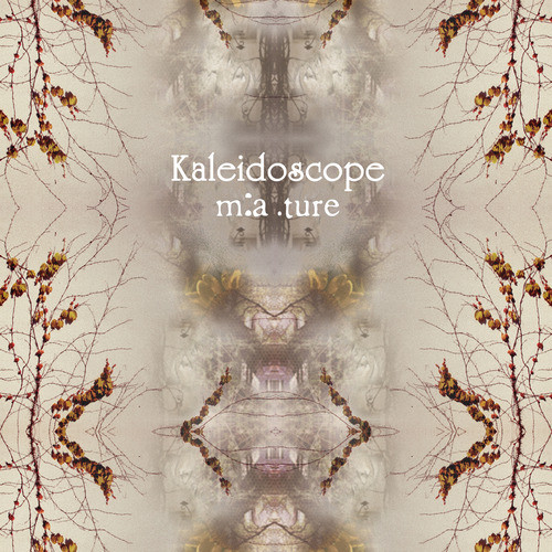 Kaleidoscope cover art