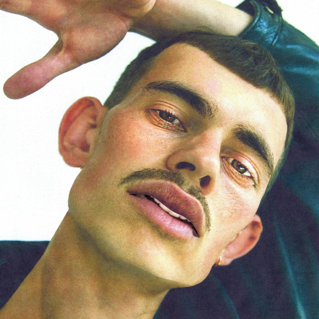 Fool cover art
