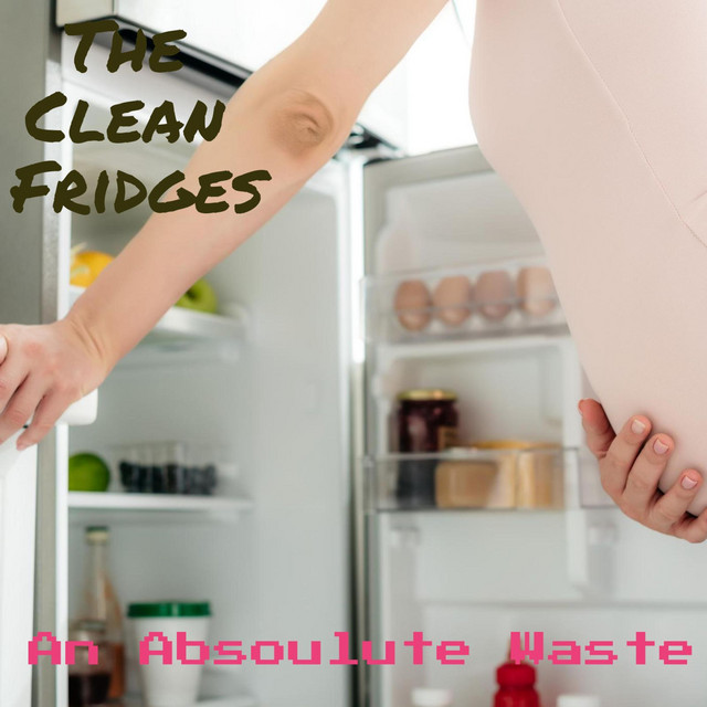 An Absoulute Waste cover art