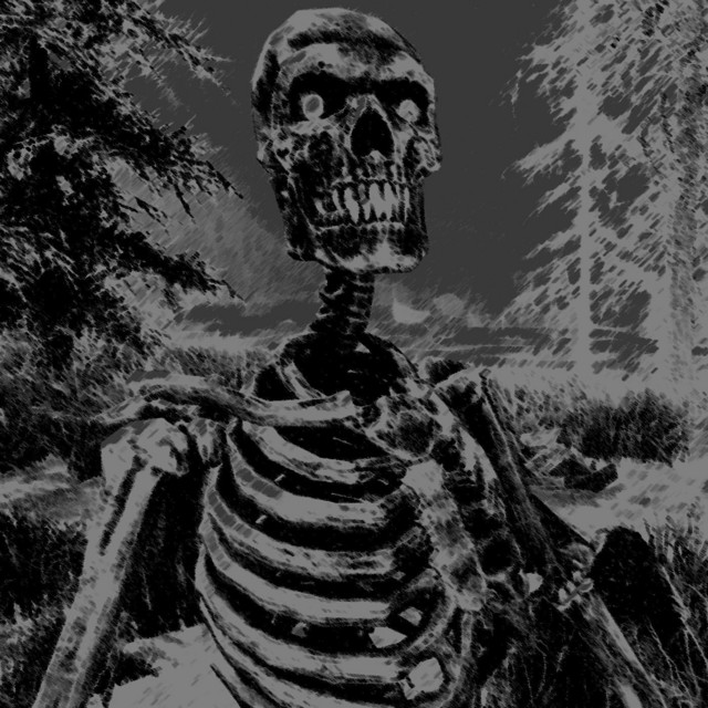 Skeleton cover art