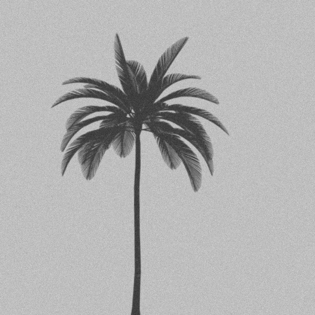 White Summer cover art