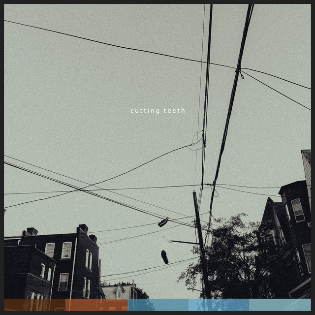 Shutter cover art