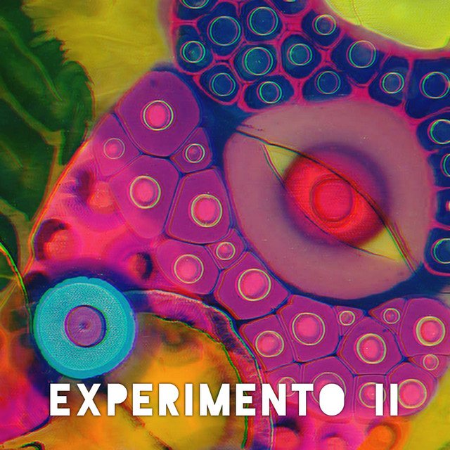 Experimento II cover