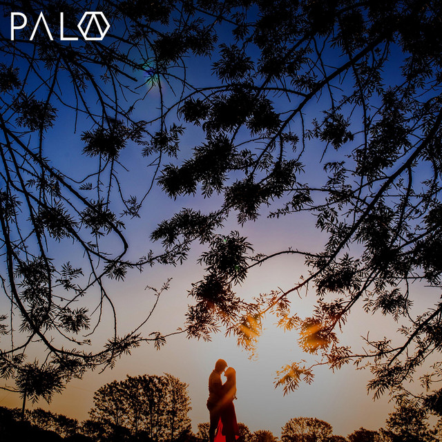 Falling cover art