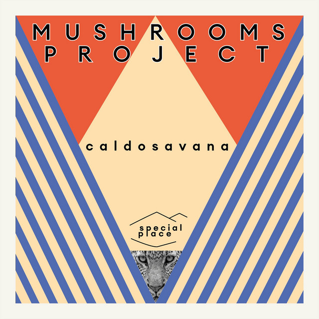 Caldosavana - Eric Duncan Remix