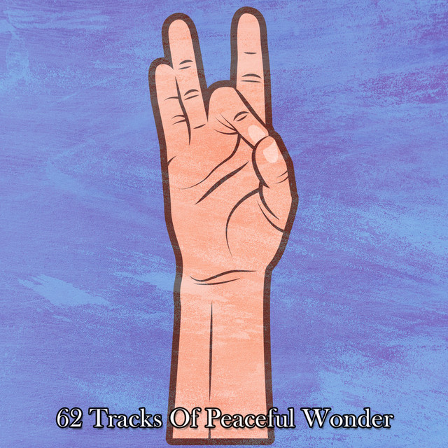 62 Tracks Of Peaceful Wonder cover art