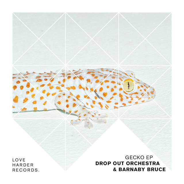 GECKO EP cover art