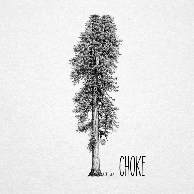 Choke cover art
